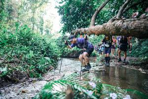 BIB: 
                            <button type="button" onclick="openModal(25451690)" class="btn btn-primary btn-sm float-right btn-popup" data-toggle="modal" data-target=".modal-high-quality">
                        <i class="fas fa-shopping-cart"></i> Add to Cart
                    </button>
                                            <button type="button" onclick="isThisMe(25451690, true)" class="btn btn-success btn-sm float-right btn-popup btn-isme hidden" data-toggle="tooltip" data-placement="bottom" title="นี่คือรูปของคุณใช่ไหม คลิกที่นี่เพื่อเอาเข้าอัลบั้ม">
                        <i class="fas fa-plus"></i> Add to album
                    </button>
                    <button type="button" onclick="isThisMe(25451690, false)" class="btn btn-warning btn-sm float-right btn-popup btn-isnotme hidden">
                        <i class="fas fa-ban"></i> Remove from album
                    </button>